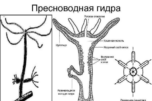 Кракен онион