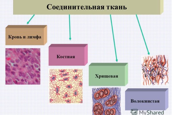 Кракен даркнет лол