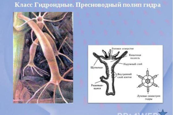 Кракен маркетплейс ассортимент