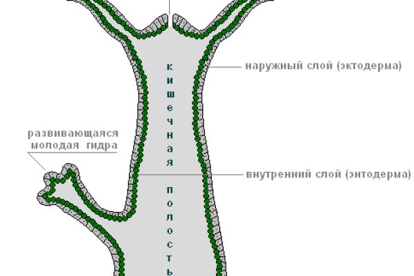 Главная страница кракен